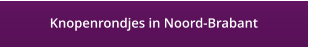 Knopenrondjes in Noord-Brabant
