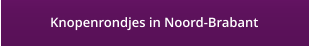 Knopenrondjes in Noord-Brabant