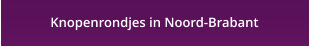 Knopenrondjes in Noord-Brabant